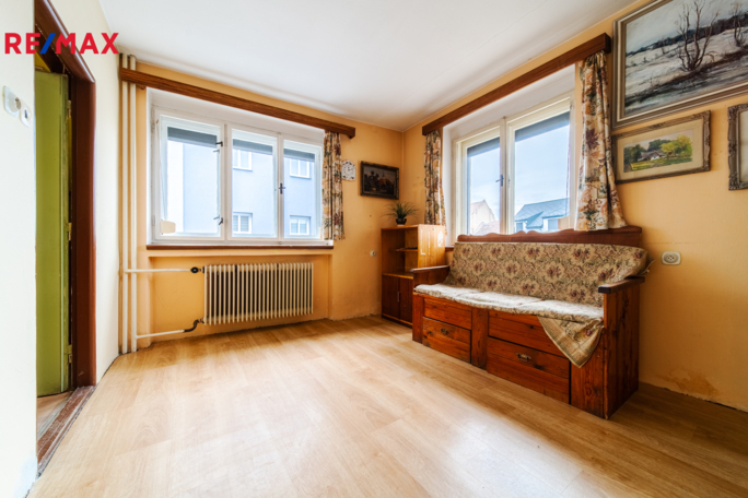 REMAX Delux