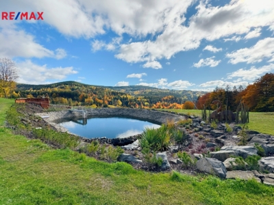 3069019.jpg 3069019.jpg