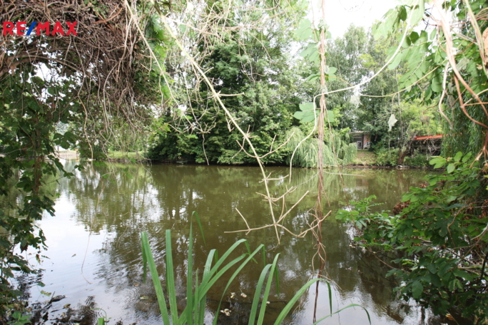 2922231.jpg 2922231.jpg