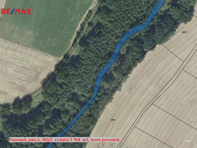 Tomáš Šimek Tomáš Šimek