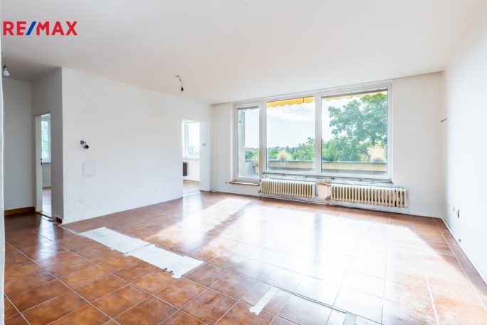 REMAX Delux REMAX Delux