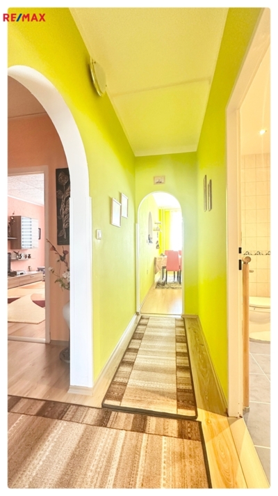 REMAX Delux REMAX Delux