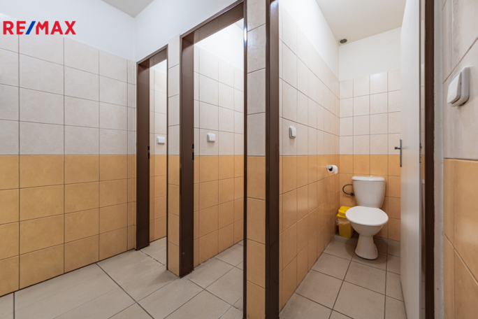 3063510.jpg 3063510.jpg