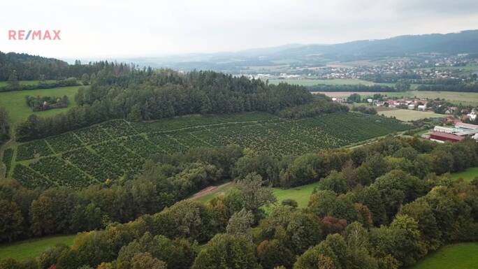 Prodej lesa, 73741 m2, Střítež nad Bečvou - obrázek 2