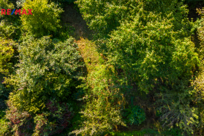 3041330.jpg 3041330.jpg