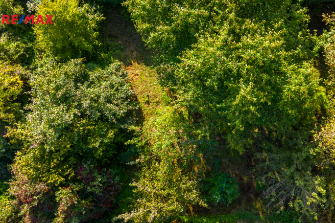 3041330.jpg 3041330.jpg