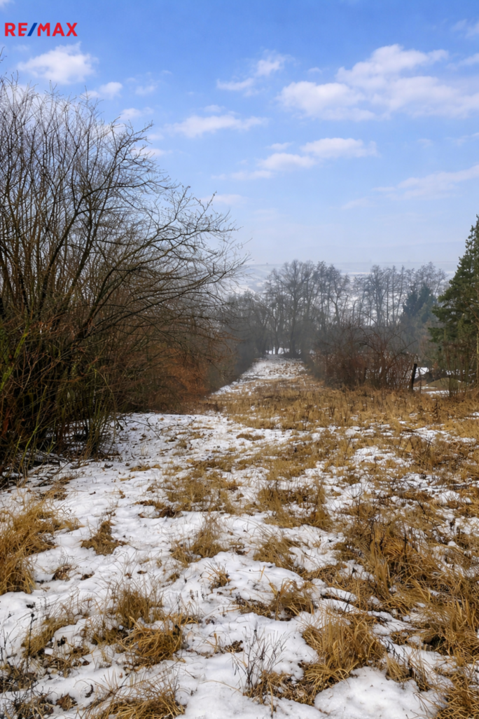 Realitní kancelář Brno Realitní kancelář Brno