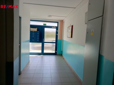 2990235.jpg 2990235.jpg