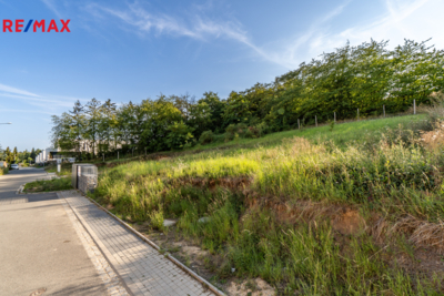 2952155.jpg 2952155.jpg