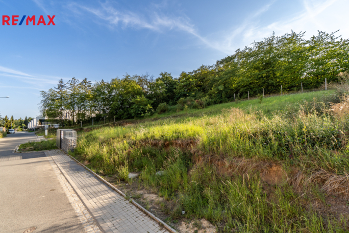 2952155.jpg 2952155.jpg