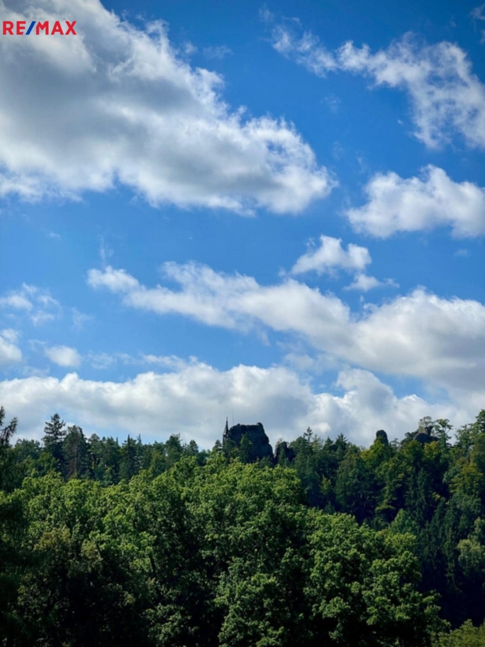 2964363.jpg 2964363.jpg