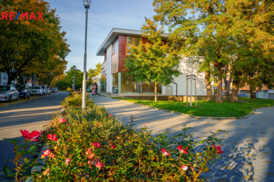 3050383.jpg 3050383.jpg