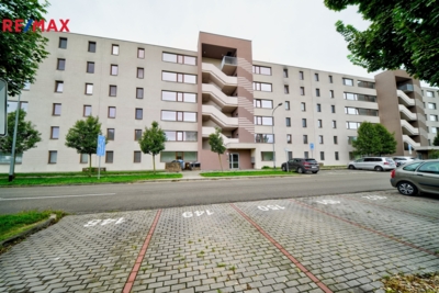 3018869.jpg