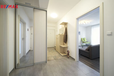 REMAX Delux REMAX Delux