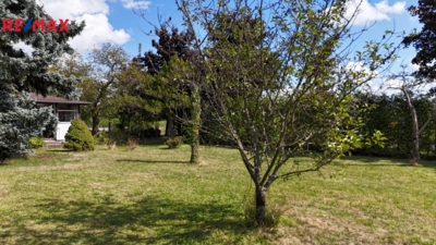 2994626.jpg 2994626.jpg