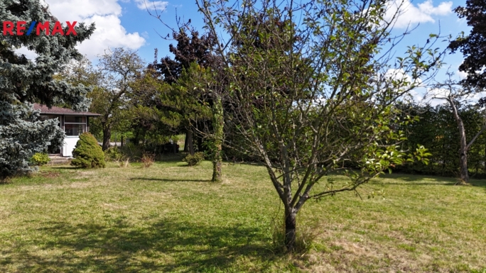 2994626.jpg 2994626.jpg