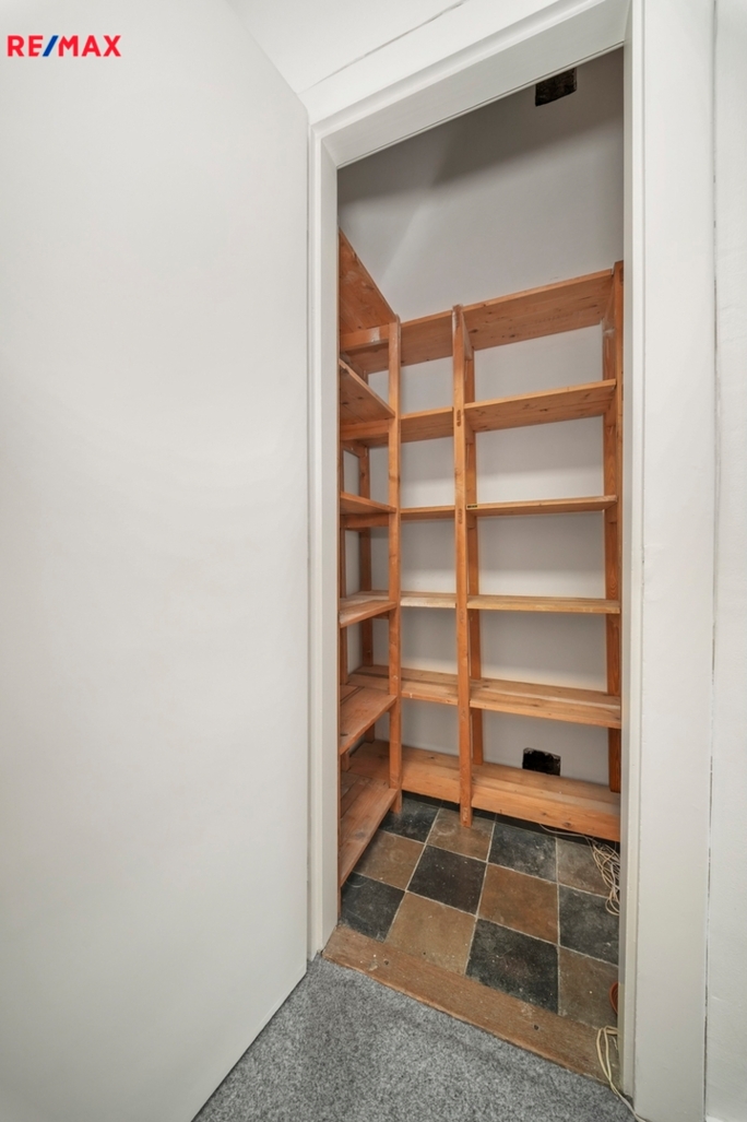 3195769.jpeg 3195769.jpeg