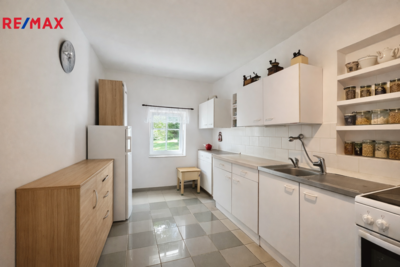 REMAX Delux REMAX Delux