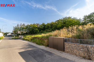 2952152.jpg 2952152.jpg