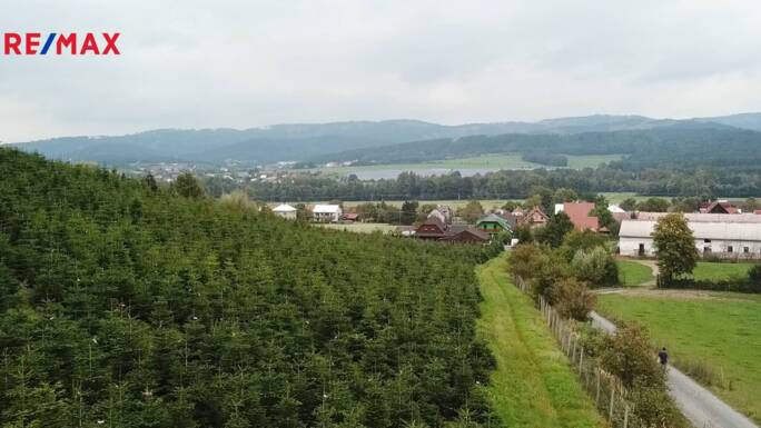 Prodej lesa, 73741 m2, Střítež nad Bečvou - obrázek 5