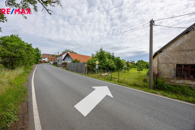 REMAX Delux REMAX Delux