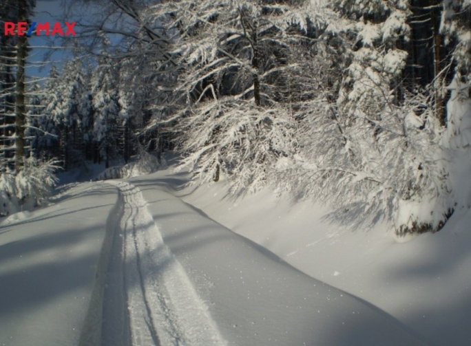 Tomáš Šimek Tomáš Šimek