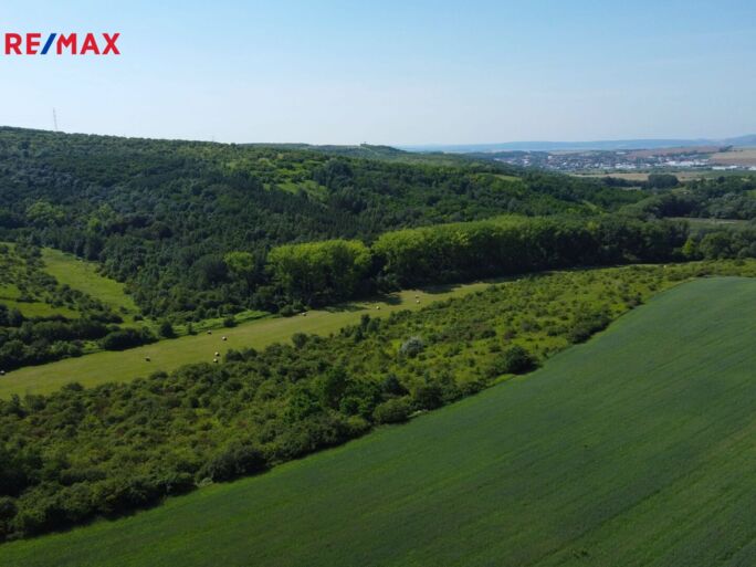 Prodej trvalého travního porostu, 4095 m2, Hustopeče - obrázek 10