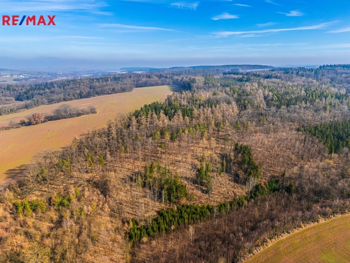 Realitní makléř Brno