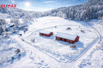 Prodej zahrady, 18594 m2, Chotěvice Prodej zahrady, 18594 m2, Chotěvice