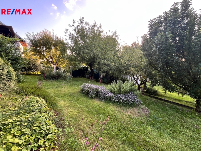 2926910.jpg 2926910.jpg