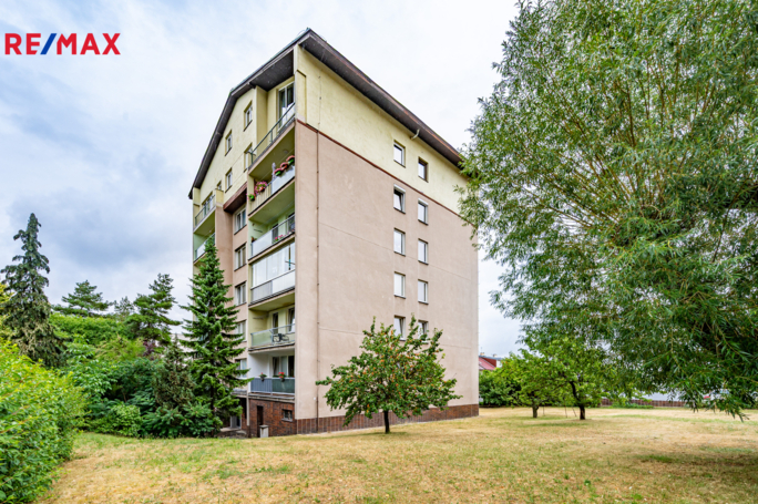 3067591.jpg 3067591.jpg