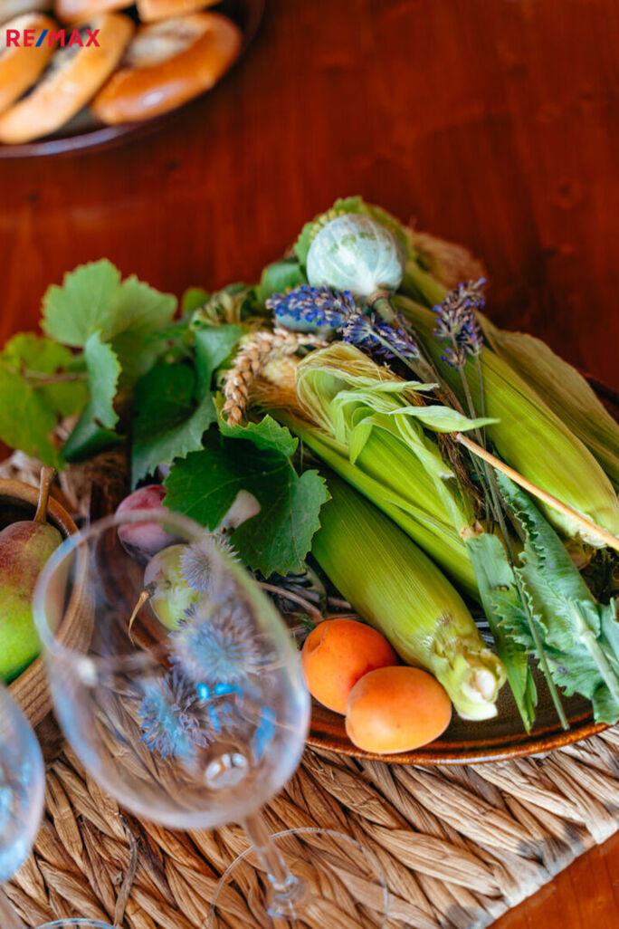 Prodej vinného sklepa, Prušánky - obrázek 41