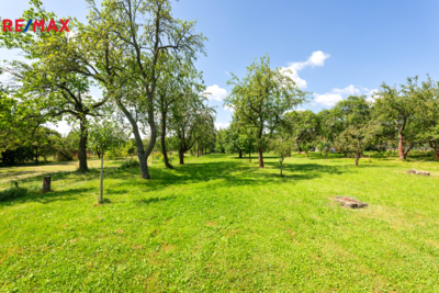 2756306.jpg 2756306.jpg