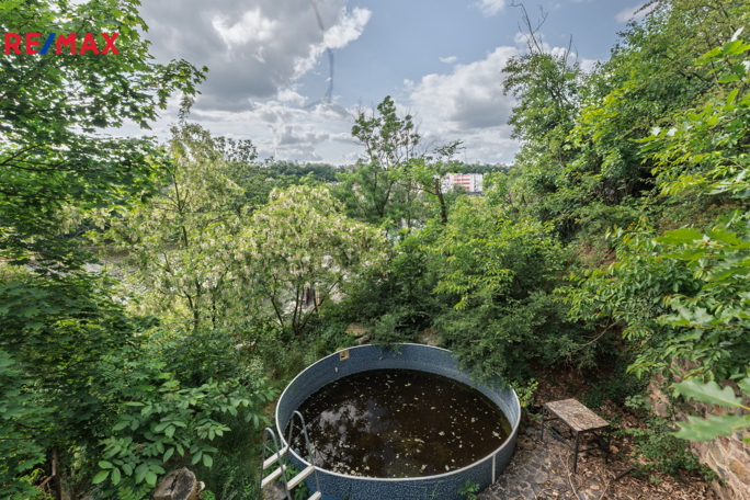 2830734.jpg 2830734.jpg