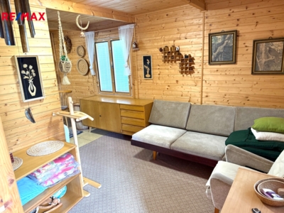 REMAX Delux REMAX Delux