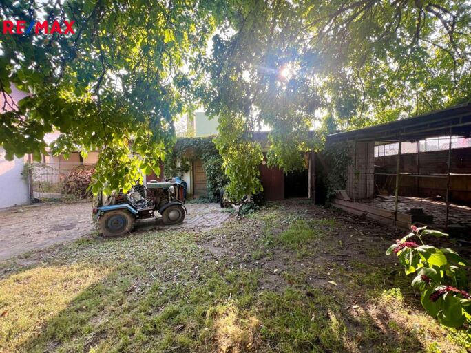 3045529.jpeg 3045529.jpeg