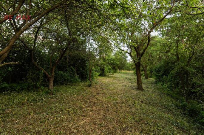 Prodej zemědělské usedlosti, 1208 m2, Rájec-Jestřebí - obrázek 21