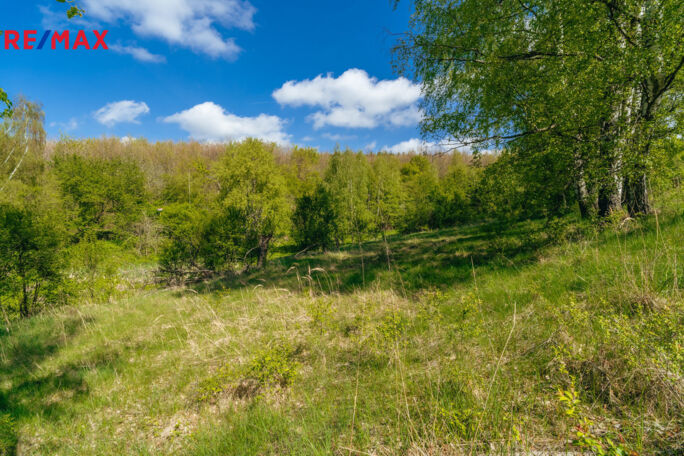 Prodej pozemku pro komerční výstavbu, 28310 m2, Střítež - obrázek 11