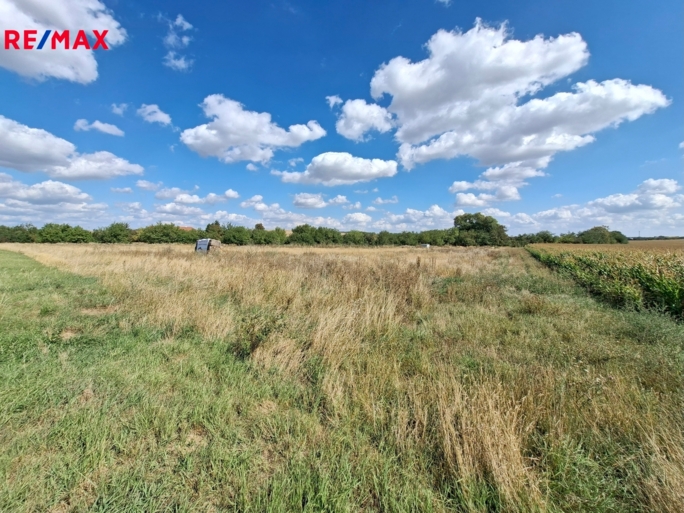 Práce v realitách Brno Práce v realitách Brno