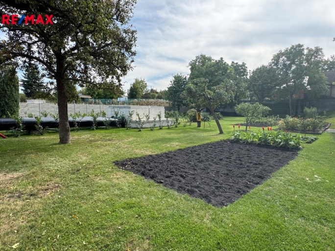 2992280.jpeg 2992280.jpeg