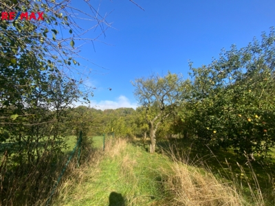 Práce v realitách Brno Práce v realitách Brno