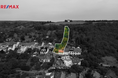 REMAX Brno
