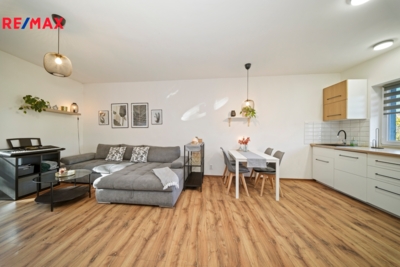 REMAX Delux REMAX Delux