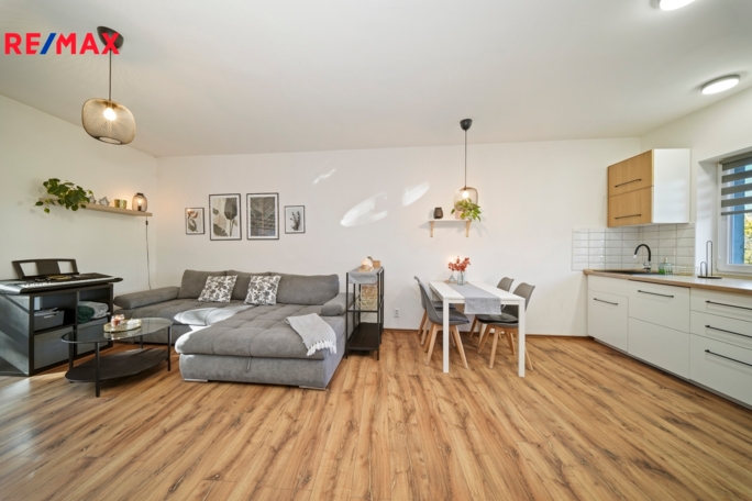 REMAX Delux REMAX Delux