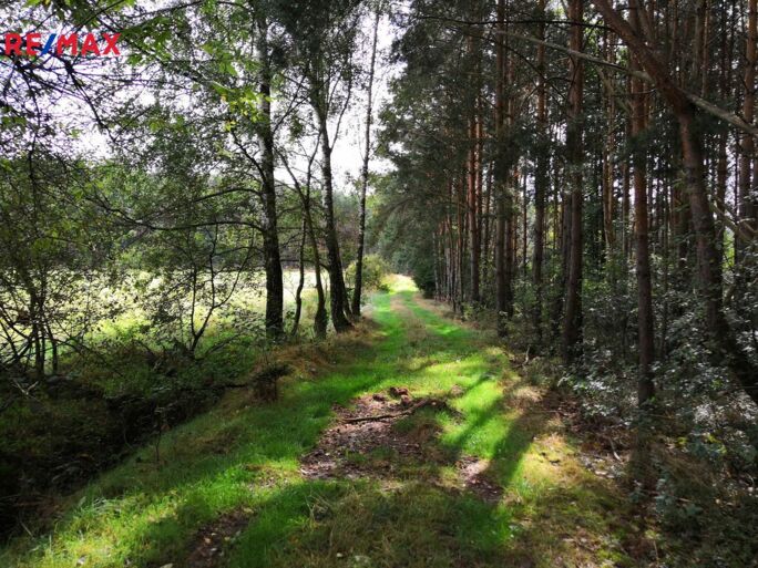 Prodej lesa, 8414 m2, Vlastiboř Prodej lesa, 8414 m2, Vlastiboř
