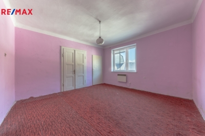 REMAX Delux REMAX Delux