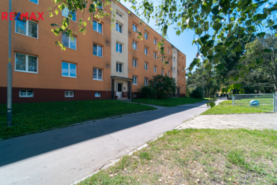2943539.jpg