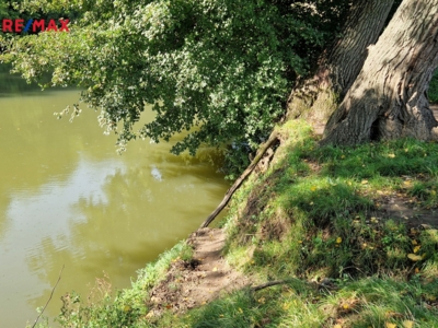 Prodej nemovitostí Brno