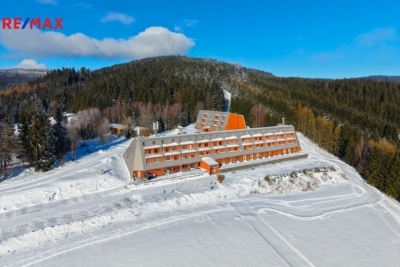 Prodej apartmánu, 30 m2, Ostružná