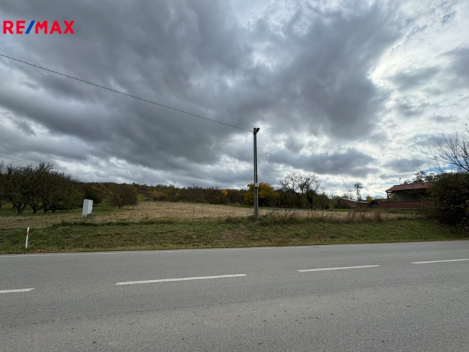 3073443.jpeg 3073443.jpeg